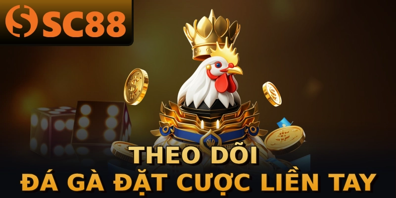 Theo dõi đá gà đặt cược liền tay